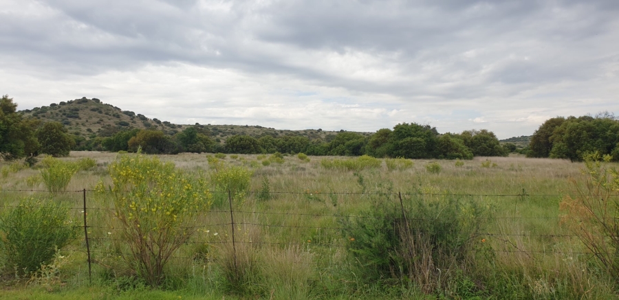 Commercial Property for Sale in Bloemfontein Rural Free State